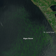 Illustration for article titled Floridas Disgusting Algae Bloom Is Now Visible From Space